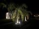 Attractive front yard at night featuring manicured landscaping and illuminated palms at 13359 Orca Sound Dr, Riverview, FL 33579