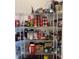 Organized pantry shelving stocked with various food items, providing ample storage space at 13359 Orca Sound Dr, Riverview, FL 33579