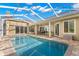 A spacious backyard featuring a pristine pool, perfect for relaxation and outdoor entertainment at 4564 Juniper Dr, Palm Harbor, FL 34685