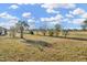 Expansive, well-manicured backyard with lush green grass and scattered trees, perfect for outdoor activities at 1740 Coco Palm Cir, Sun City Center, FL 33573