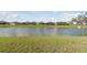 Scenic backyard view with a tranquil pond, lush green grass, and surrounding houses, creating a serene outdoor environment at 31675 Cannon Rush Dr, San Antonio, FL 33576