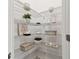 White pantry shelves with decor and wire baskets, adding style and storage to your home at 31675 Cannon Rush Dr, San Antonio, FL 33576