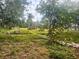 Large, grassy backyard featuring mature trees and lush landscaping at 4004 27Th Se St, Ruskin, FL 33570