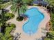 Overhead shot of the pool area, which features a uniquely shaped pool, many palm trees, lounge chairs, and a brick-paved pool deck at 10136 Westpark Preserve Blvd, Tampa, FL 33625