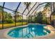 Screened in pool with pool and spa, surrounded by lush landscaping with tropical feel at 10534 Bermuda Isle Dr, Tampa, FL 33647