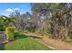 Lush backyard featuring vibrant green grass, mature trees, and landscaping along the edge of the property at 13711 Moonstone Canyon Dr, Riverview, FL 33579