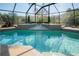 Clear blue pool with steps in the deep end and palm trees visible through the screened enclosure at 16331 Burniston Dr, Tampa, FL 33647