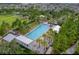 Aerial view of a community pool with palm trees and lounge chairs at 4132 Woods Rider Loop, Odessa, FL 33556