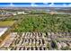 An aerial view highlights this home's location nestled among mature trees with a private pool and lush greenery at 4512 Paper Mulberry Pl, Riverview, FL 33578