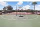 Community basketball court with green surface and basketball hoop at 4512 Paper Mulberry Pl, Riverview, FL 33578