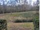 Serene backyard view highlighting mature trees, greenery, and a private setting at 5100 Burchette Rd # 2103, Tampa, FL 33647
