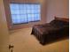 Comfortable bedroom featuring neutral carpet, a king-size bed, and ample natural light at 5100 Burchette Rd # 2103, Tampa, FL 33647