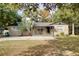 Charming single-story home with a well-manicured lawn, concrete driveway, and decorative palm trees at 6223 Bayshore Blvd, Tampa, FL 33611