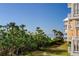 Balcony view capturing lush foliage, swaying palm trees, and a glimpse of the ocean at 6500 Sunset Way # 202, St Pete Beach, FL 33706