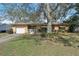 Charming single-story home with a well-maintained front yard and mature shade tree in sunny Florida at 1910 Rainbow Dr, Clearwater, FL 33765