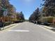 Street view of the neighborhood featuring well-maintained homes, sidewalks, and trees lining the street at 415 Bayou Village Dr, Tarpon Springs, FL 34689