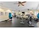 Bright fitness center offering a variety of modern exercise equipment for a comprehensive workout experience at 4951 Bacopa S Ln # 103, St Petersburg, FL 33715