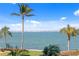 Scenic waterfront view with calm water, blue skies, palm trees, and a distant city skyline at 4951 Bacopa S Ln # 103, St Petersburg, FL 33715