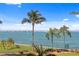 Serene view of the water with palm trees in the foreground and city skyline in the background at 4951 Bacopa S Ln # 103, St Petersburg, FL 33715