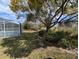 Lush backyard featuring a screened-in pool and mature trees, partially bordered by a brick retaining wall at 11040 Flicker Rd, Brooksville, FL 34613