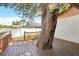 Outdoor deck featuring a beautiful mature tree at 1801 E Mcberry St, Tampa, FL 33610