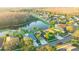 An aerial view of charming homes, lush landscaping, and a tranquil pond at 3339 Brenford Pl, Land O Lakes, FL 34638