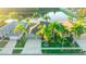 Aerial view of a well maintained home with a two car garage and mature palm trees at 3339 Brenford Pl, Land O Lakes, FL 34638