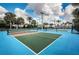 A view of the bright pickleball courts in the community, featuring a blue and green surface and a sturdy black net at 5316 Stoic Vale Dr, Wimauma, FL 33598