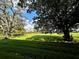 Expansive backyard featuring a large tree, green lawn, and blue skies at 7040 Cognac Dr # 1, New Port Richey, FL 34653