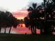 Sunset view over a tranquil lake, framed by palm trees, creating a serene and picturesque scene at 7040 Cognac Dr # 1, New Port Richey, FL 34653