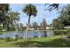 Scenic pond view, surrounded by mature landscaping and community homes at 10346 Carrollwood Ln # 171, Tampa, FL 33618