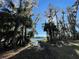 Scenic backyard showing native Florida vegetation and lake at 16417 Lake Byrd Dr, Tampa, FL 33618