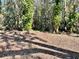 A beautiful lot surrounded by mature trees, offering privacy and natural beauty at 16417 Lake Byrd Dr, Tampa, FL 33618