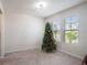 Cozy living room featuring carpet floors, bright natural light, and decorative Christmas tree at 16631 Mooner Plank Cir Cir, Wimauma, FL 33598