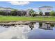 View from backyard featuring a tranquil pond with lush landscaping at 17628 Breakaway St, Land O Lakes, FL 34638