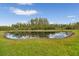 Scenic view of the pond surrounded by lush greenery and trees at 17628 Breakaway St, Land O Lakes, FL 34638