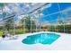 Screened-in pool with clear blue water, lounge chair and view of lush tropical landscaping at 18934 Avenue Biarritz, Lutz, FL 33558