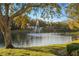 Scenic view of community lake and fountain under shady trees at 3300 Haviland Ct # 304, Palm Harbor, FL 34684