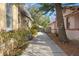 Long driveway leading to a detached garage, flanked by mature landscaping and neighboring homes at 5807 N Branch Ave, Tampa, FL 33604