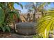 Outdoor hot tub surrounded by tropical plants, providing a private and relaxing backyard retreat at 5807 N Branch Ave, Tampa, FL 33604