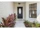 Inviting front entrance with manicured landscaping leading to a modern black front door at 8814 Hampden Dr, Tampa, FL 33626