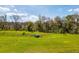 Spacious backyard with lush green grass and mature trees at 9258 Rock Harbour Way, Tampa, FL 33637