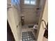 Tile shower with built in seating and grab bars for accessibility and safety at 116 Silver Falls Dr, Apollo Beach, FL 33572