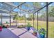 Bright screened porch with colorful plants and a view of the backyard at 3373 Brodie Way, Palm Harbor, FL 34684