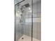 Walk-in shower with glass door and modern shower fixtures at 4810 W San Miguel St, Tampa, FL 33629