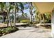 Backyard patio with palm trees and tropical plants, creating a tranquil outdoor space for relaxation at 4811 Paradise S Way, St Petersburg, FL 33705