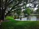 Scenic pond view featuring a wooden bridge, a mature tree, and verdant landscaping at 10265 Gandy N Blvd # 1806, St Petersburg, FL 33702