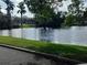 Calm pond surrounded by tropical trees and grass, offering a relaxing view at 10265 Gandy N Blvd # 1806, St Petersburg, FL 33702