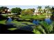 Lush community pond featuring lily pads, flowering trees, and verdant tropical landscaping at 10265 Gandy N Blvd # 1806, St Petersburg, FL 33702