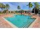 Inviting community pool with easy access steps, surrounded by palm trees and lounge chairs at 10265 Gandy N Blvd # 1806, St Petersburg, FL 33702